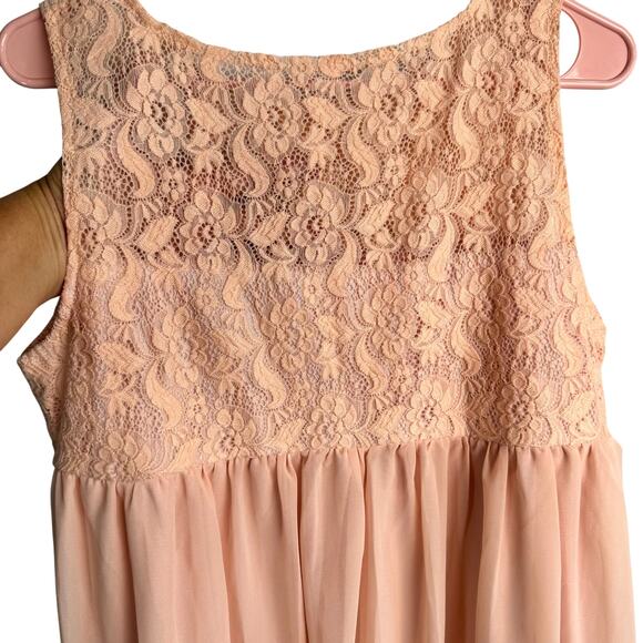 Blush Pink Lace Chiffon Maxi Gown Sheer Overlay Lined Empire Waist Size XL - Picture 3 of 6